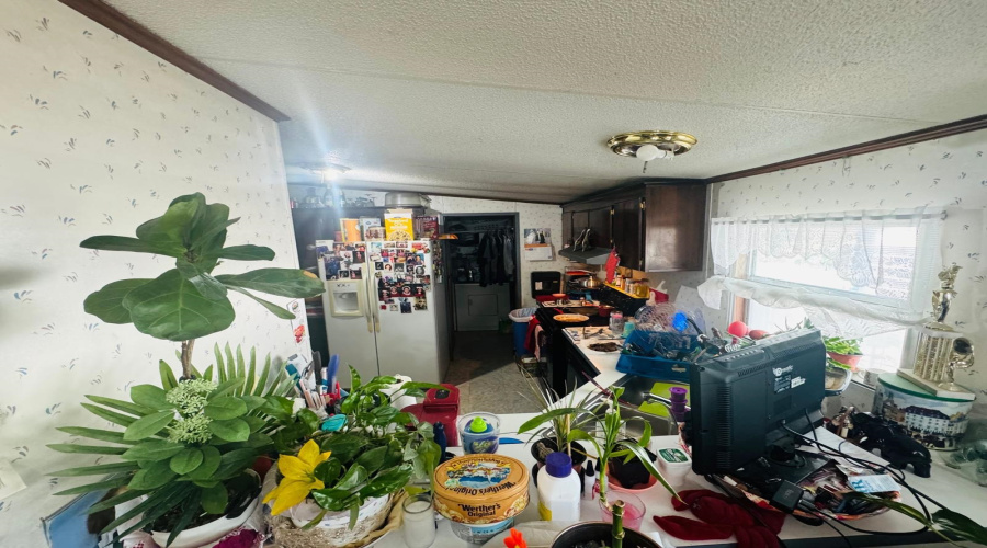 917 Flag St, laredo, Texas 78041, 4 Bedrooms Bedrooms, 57 Rooms Rooms,3 BathroomsBathrooms,Residential,For Sale,917 Flag St,20262454