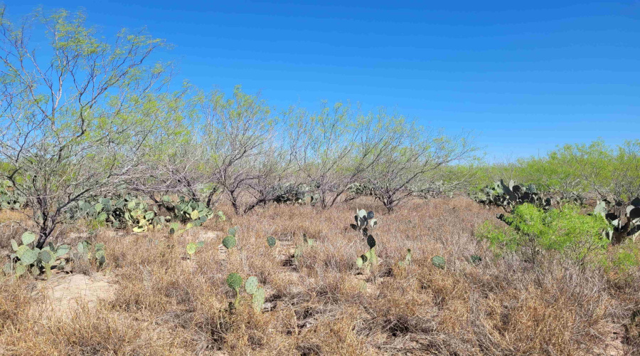 385 Ranch Road 7074C, Laredo, Texas 78043, ,Land,For Sale,385 Ranch Road 7074C,20262457