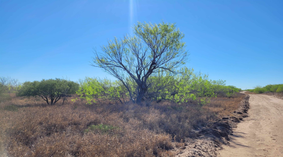 385 Ranch Road 7074C, Laredo, Texas 78043, ,Land,For Sale,385 Ranch Road 7074C,20262457