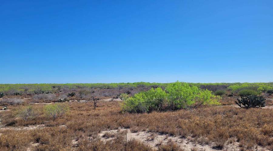 385 Ranch Road 7074C, Laredo, Texas 78043, ,Land,For Sale,385 Ranch Road 7074C,20262457