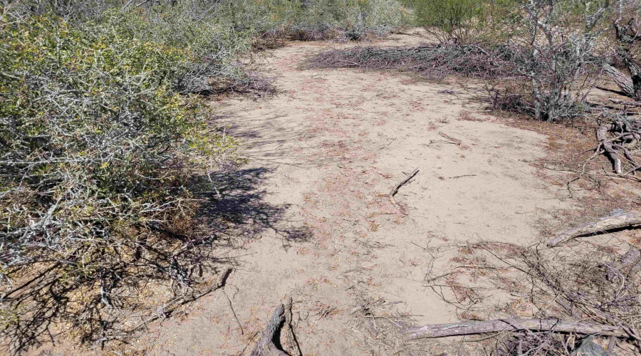 385 Ranch Road 7074C, Laredo, Texas 78043, ,Land,For Sale,385 Ranch Road 7074C,20262457