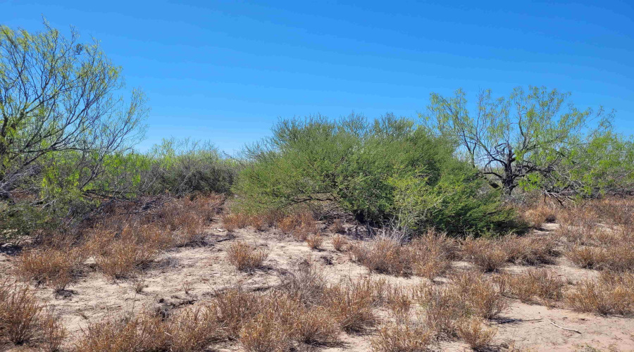 385 Ranch Road 7074C, Laredo, Texas 78043, ,Land,For Sale,385 Ranch Road 7074C,20262457
