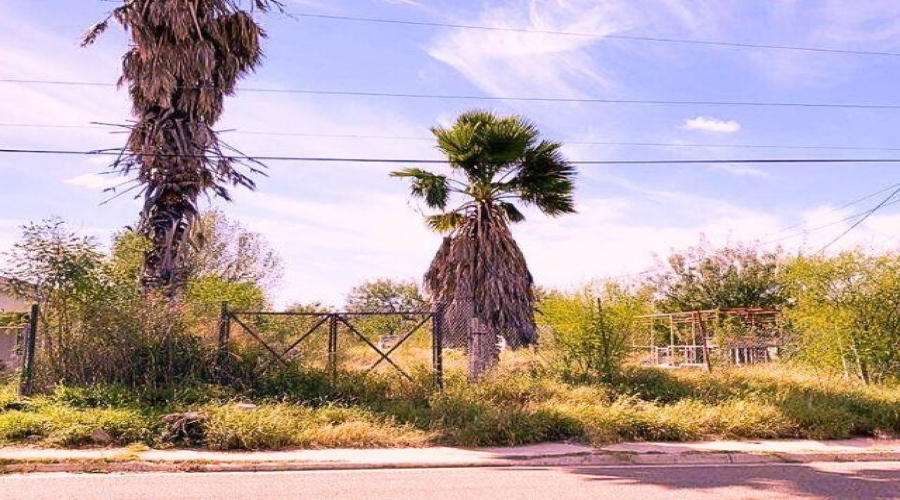 424 Morales, El Cenizo, Texas 78046, ,Land,For Sale,424 Morales,20262506