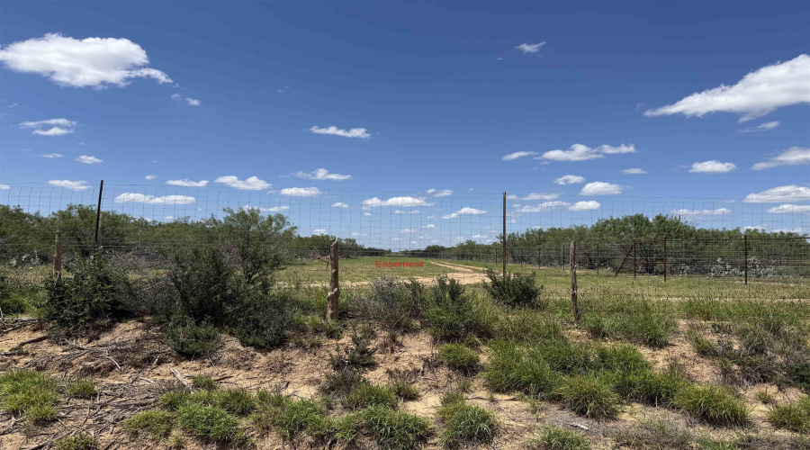 999 Jordan Rd., Encinal, Texas 78019, ,Land,For Sale,999 Jordan Rd.,20262510
