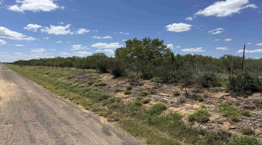 999 Jordan Rd., Encinal, Texas 78019, ,Land,For Sale,999 Jordan Rd.,20262512