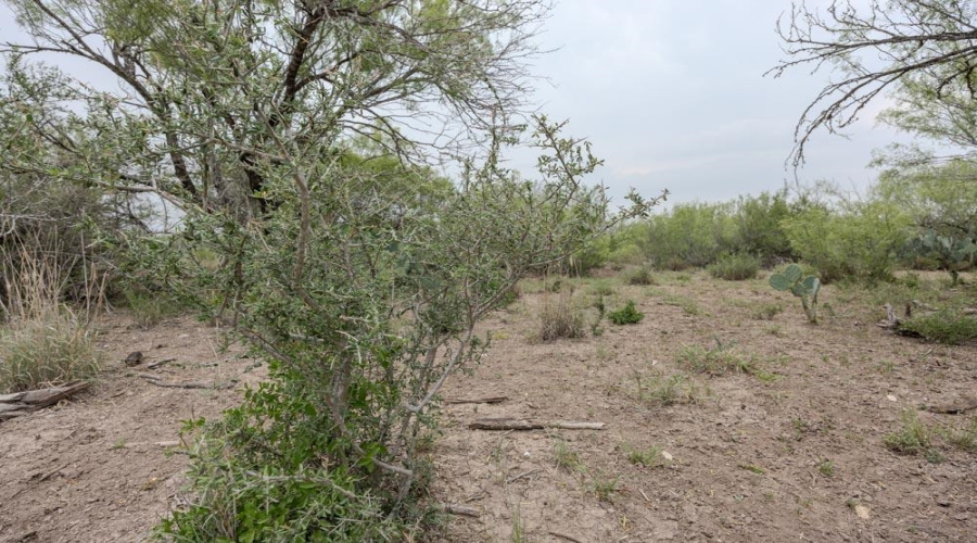 TRACT 16 Las Pilas Rd., Laredo, Texas 78043, ,Land,For Sale,TRACT 16 Las Pilas Rd.,20262554