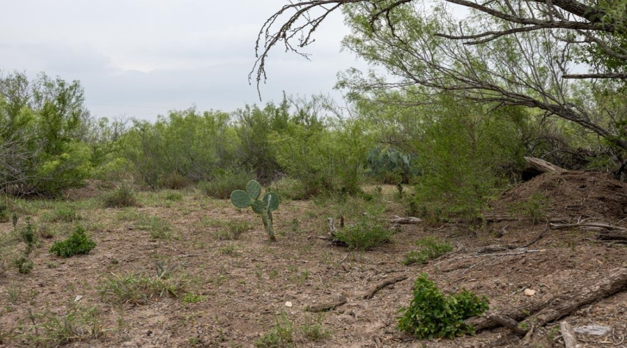 TRACT 16 Las Pilas Rd., Laredo, Texas 78043, ,Land,For Sale,TRACT 16 Las Pilas Rd.,20262554