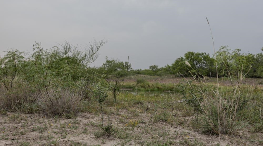 TRACT 16 Las Pilas Rd., Laredo, Texas 78043, ,Land,For Sale,TRACT 16 Las Pilas Rd.,20262554