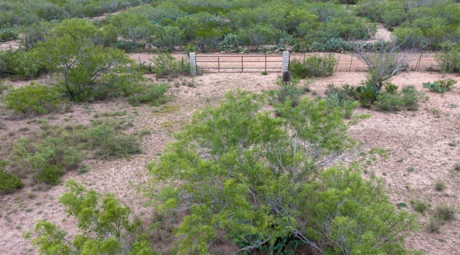TRACT 16 Las Pilas Rd., Laredo, Texas 78043, ,Land,For Sale,TRACT 16 Las Pilas Rd.,20262554