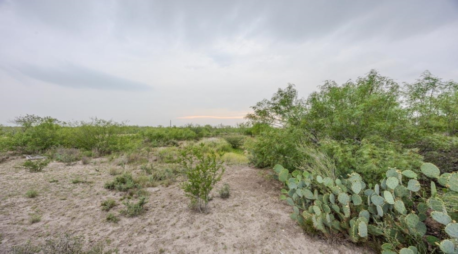 TRACT 16 Las Pilas Rd., Laredo, Texas 78043, ,Land,For Sale,TRACT 16 Las Pilas Rd.,20262554
