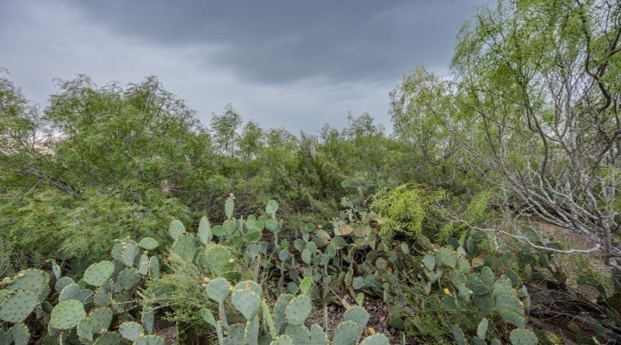 TRACT 16 Las Pilas Rd., Laredo, Texas 78043, ,Land,For Sale,TRACT 16 Las Pilas Rd.,20262554
