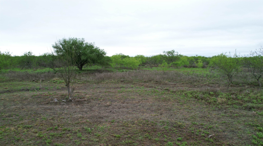 ABST 1439 SUR, Laredo, Texas 78045, ,Land,For Sale,ABST 1439 SUR,20262567