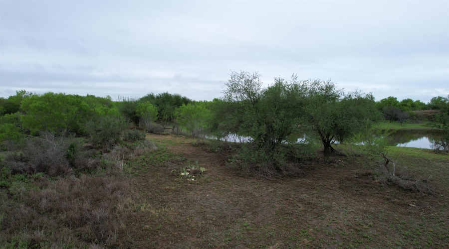ABST 1439 SUR, Laredo, Texas 78045, ,Land,For Sale,ABST 1439 SUR,20262567