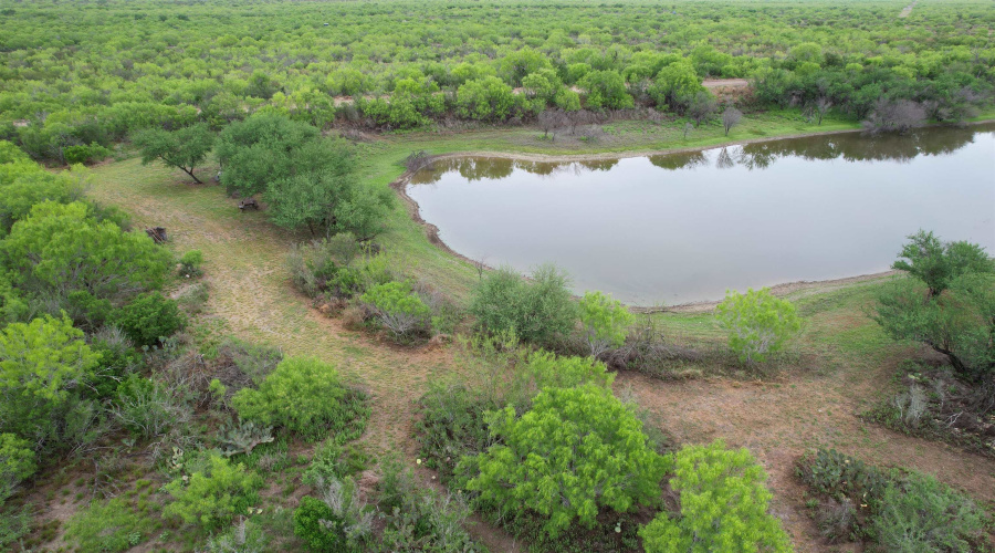 ABST 1439 SUR, Laredo, Texas 78045, ,Land,For Sale,ABST 1439 SUR,20262567