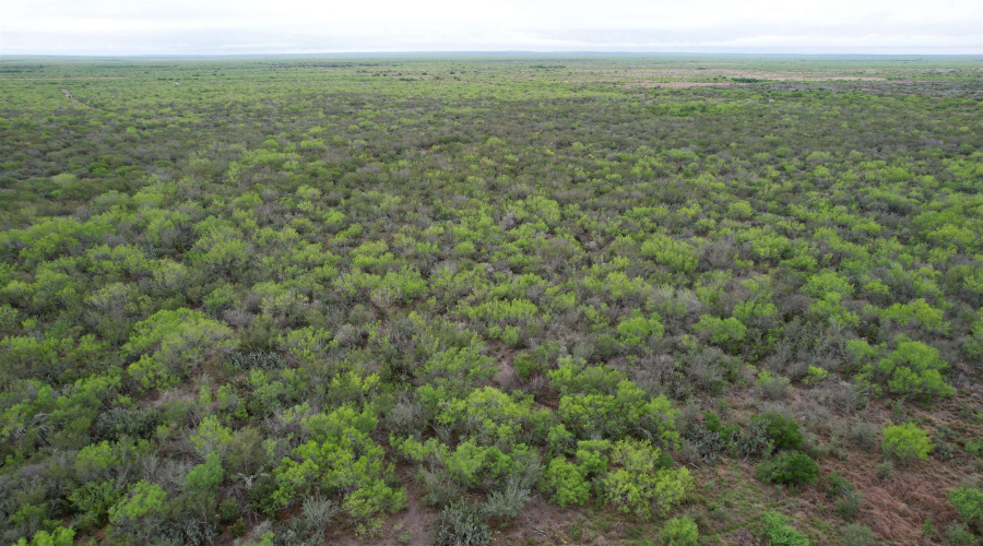 ABST 1439 SUR, Laredo, Texas 78045, ,Land,For Sale,ABST 1439 SUR,20262567