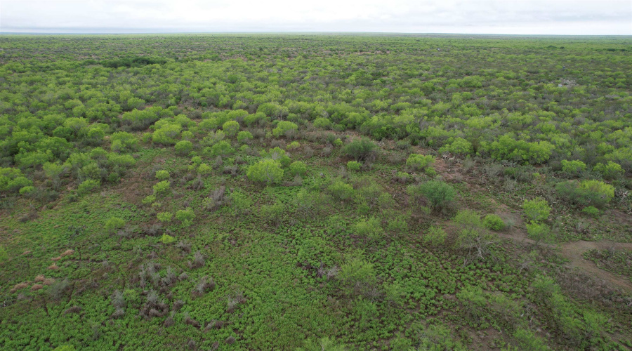 ABST 1439 SUR, Laredo, Texas 78045, ,Land,For Sale,ABST 1439 SUR,20262567