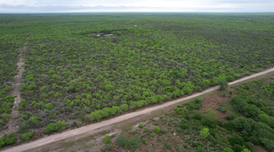 ABST 1439 SUR, Laredo, Texas 78045, ,Land,For Sale,ABST 1439 SUR,20262567