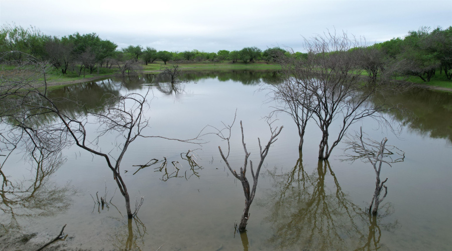 ABST 1439 SUR, Laredo, Texas 78045, ,Land,For Sale,ABST 1439 SUR,20262567