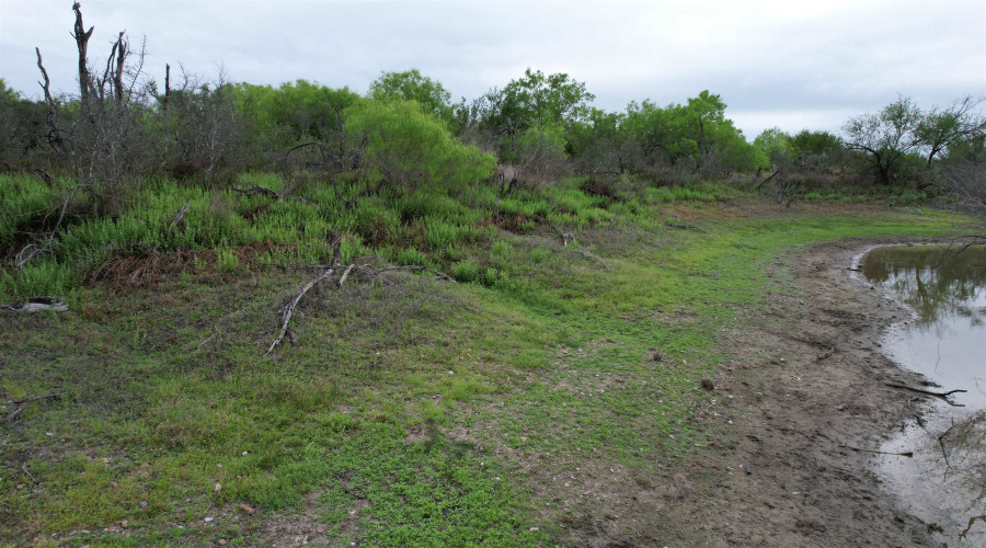 ABST 1439 SUR, Laredo, Texas 78045, ,Land,For Sale,ABST 1439 SUR,20262567