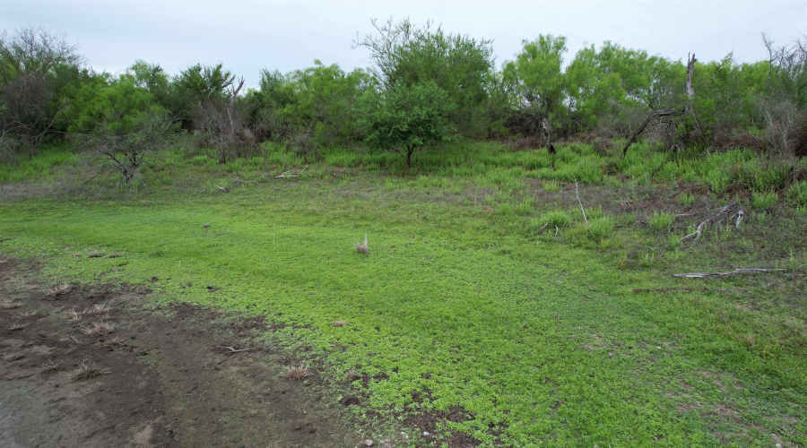 ABST 1439 SUR, Laredo, Texas 78045, ,Land,For Sale,ABST 1439 SUR,20262567