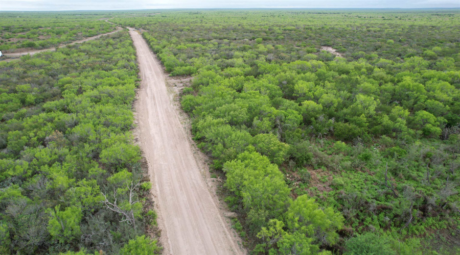ABST 1439 SUR, Laredo, Texas 78045, ,Land,For Sale,ABST 1439 SUR,20262567