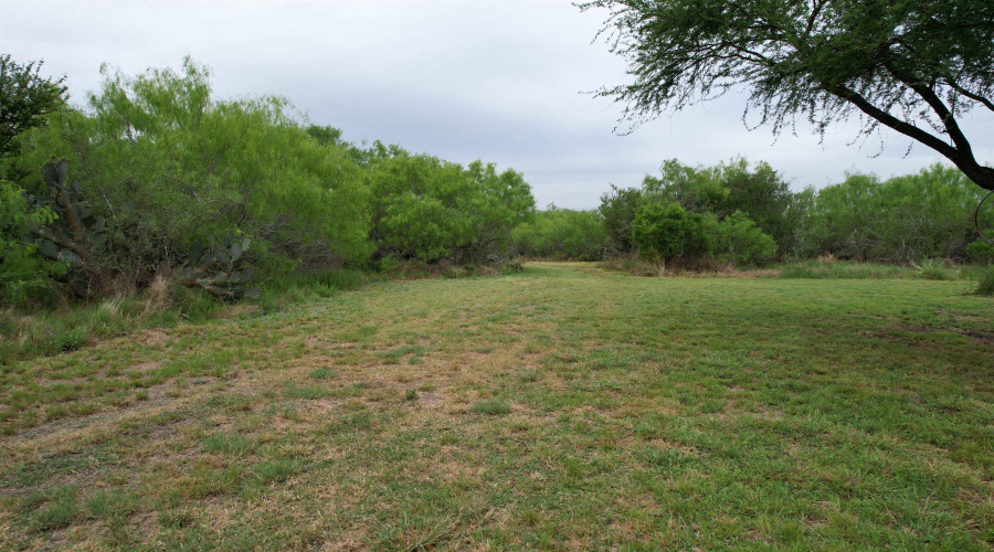 ABST 1439 SUR, Laredo, Texas 78045, ,Land,For Sale,ABST 1439 SUR,20262567
