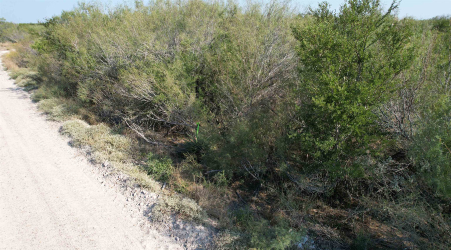 ABST 1439 SUR, Laredo, Texas 78045, ,Land,For Sale,ABST 1439 SUR,20262567