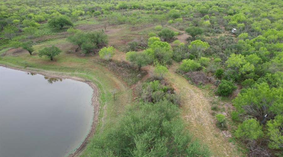 ABST 1439 SUR, Laredo, Texas 78045, ,Land,For Sale,ABST 1439 SUR,20262567