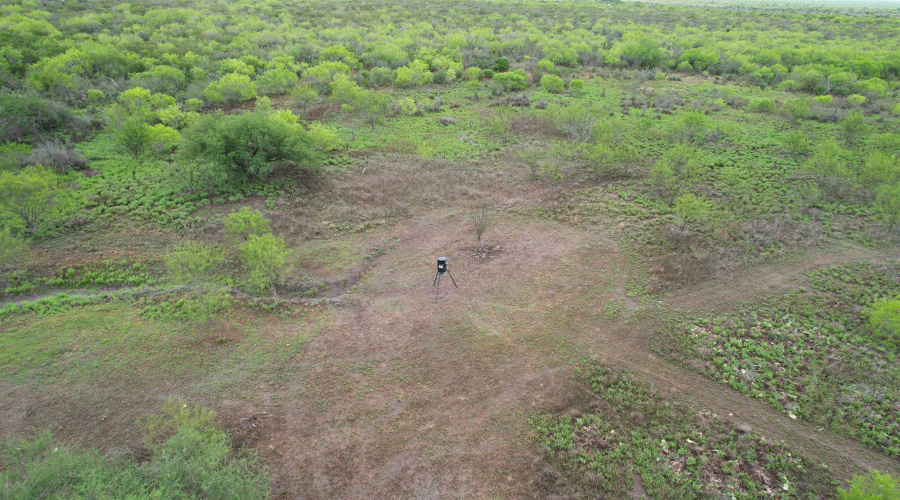 ABST 1439 SUR, Laredo, Texas 78045, ,Land,For Sale,ABST 1439 SUR,20262567