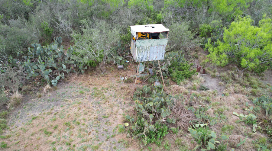 ABST 1439 SUR, Laredo, Texas 78045, ,Land,For Sale,ABST 1439 SUR,20262567
