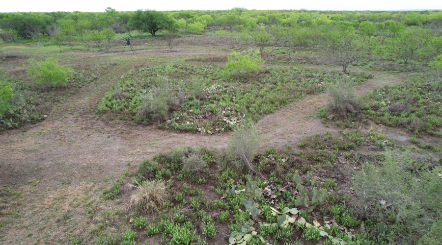 ABST 1439 SUR, Laredo, Texas 78045, ,Land,For Sale,ABST 1439 SUR,20262567