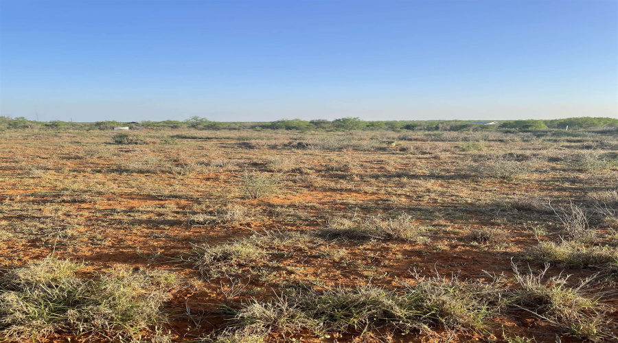 168 Ranch Road 6252C, LAREDO, Texas 78045, ,Land,For Sale,168 Ranch Road 6252C,20262598
