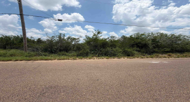 5128 Pena Ln, Zapata, Texas 78076, ,Land,For Sale,5128 Pena Ln,20262607