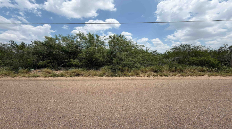 5128 Pena Ln, Zapata, Texas 78076, ,Land,For Sale,5128 Pena Ln,20262607