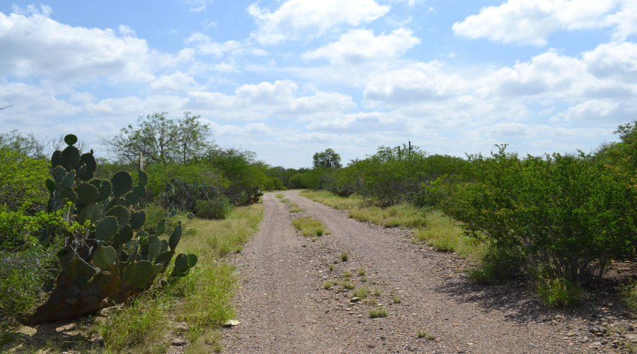 325 Pearson Moss Ln, Laredo, Texas 78045, ,Land,For Sale,325 Pearson Moss Ln,20262617