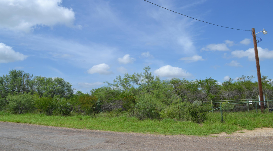 325 Pearson Moss Ln, Laredo, Texas 78045, ,Land,For Sale,325 Pearson Moss Ln,20262617