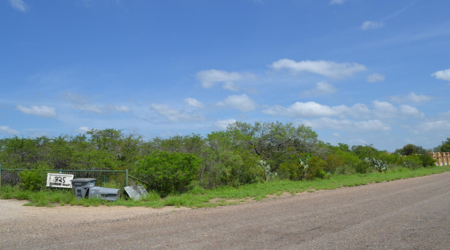 325 Pearson Moss Ln, Laredo, Texas 78045, ,Land,For Sale,325 Pearson Moss Ln,20262617