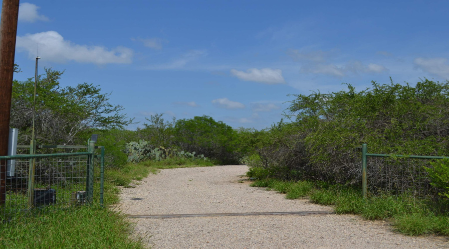 325 Pearson Moss Ln, Laredo, Texas 78045, ,Land,For Sale,325 Pearson Moss Ln,20262617