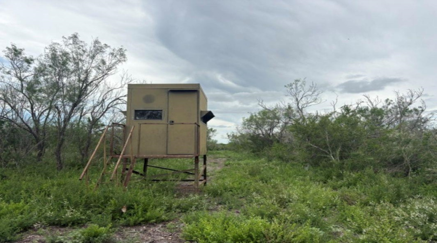 1065 S A-735 S-46 E L Taylor(35.00 ACS), Tilden, Texas 78072, ,Land,For Sale,1065 S A-735 S-46 E L Taylor(35.00 ACS),20262639