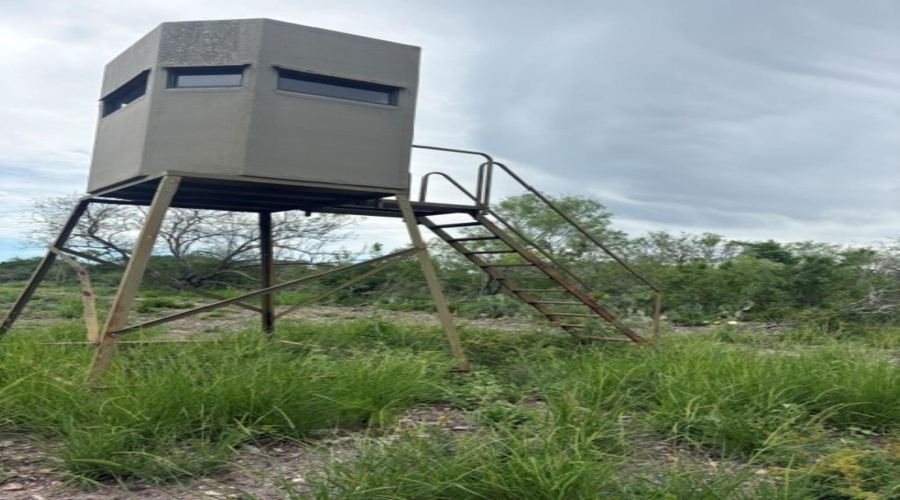 1065 S A-735 S-46 E L Taylor(35.00 ACS), Tilden, Texas 78072, ,Land,For Sale,1065 S A-735 S-46 E L Taylor(35.00 ACS),20262639