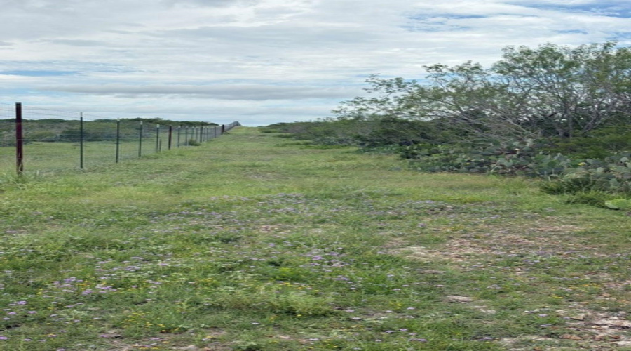 1065 S A-735 S-46 E L Taylor(35.00 ACS), Tilden, Texas 78072, ,Land,For Sale,1065 S A-735 S-46 E L Taylor(35.00 ACS),20262639
