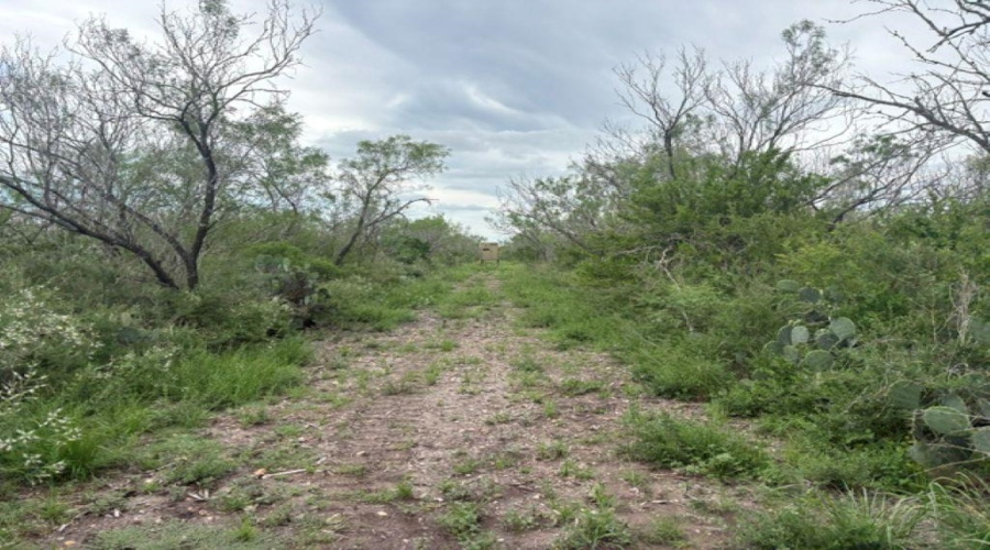 1065 S A-735 S-46 E L Taylor(35.00 ACS), Tilden, Texas 78072, ,Land,For Sale,1065 S A-735 S-46 E L Taylor(35.00 ACS),20262639