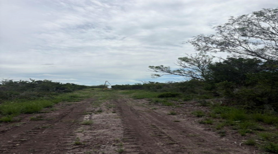 1065 S A-735 S-46 E L Taylor(35.00 ACS), Tilden, Texas 78072, ,Land,For Sale,1065 S A-735 S-46 E L Taylor(35.00 ACS),20262639