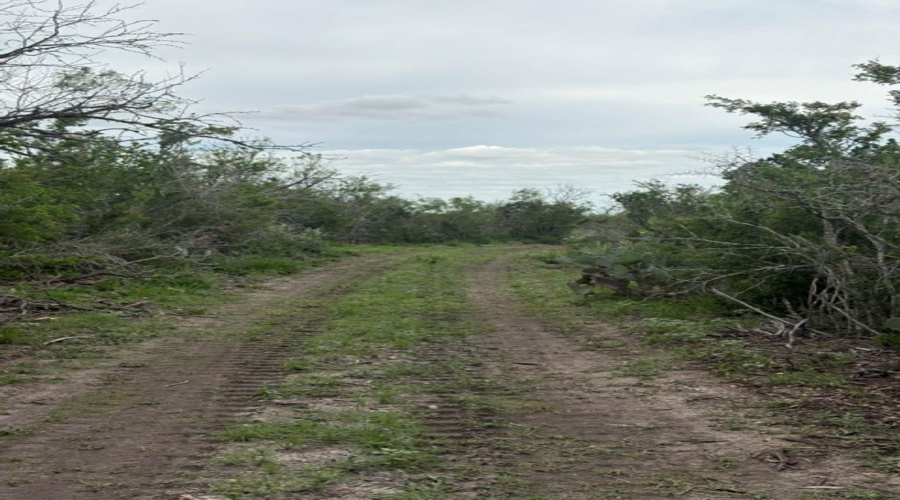 1065 S A-735 S-46 E L Taylor(35.00 ACS), Tilden, Texas 78072, ,Land,For Sale,1065 S A-735 S-46 E L Taylor(35.00 ACS),20262639