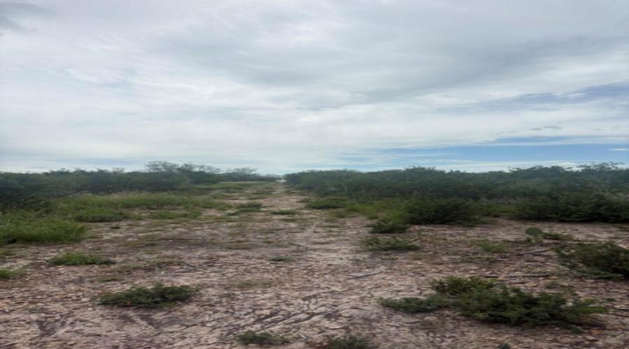1065 S A-735 S-46 E L Taylor(35.00 ACS), Tilden, Texas 78072, ,Land,For Sale,1065 S A-735 S-46 E L Taylor(35.00 ACS),20262639