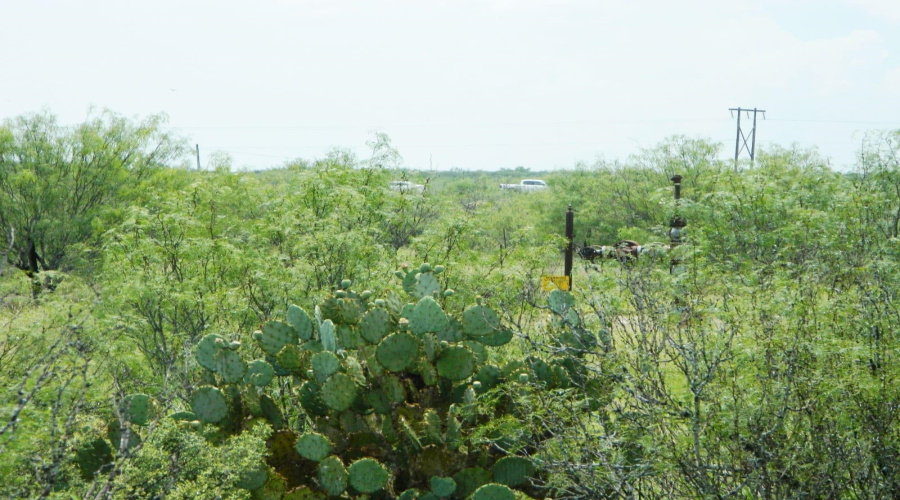 Lot 72 Blk 11 Colorado ACS, Laredo, Texas 78044, ,Land,For Sale,Lot 72 Blk 11 Colorado ACS,20262650