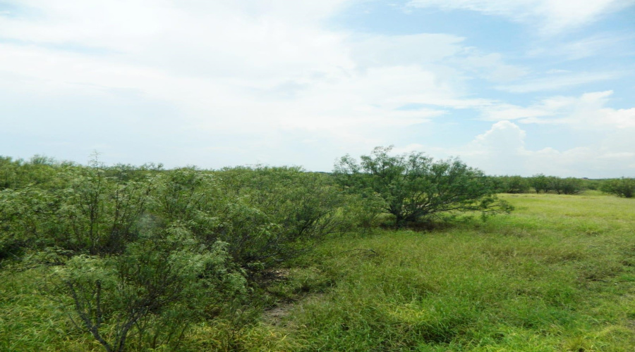 Lot 72 Blk 11 Colorado ACS, Laredo, Texas 78044, ,Land,For Sale,Lot 72 Blk 11 Colorado ACS,20262650