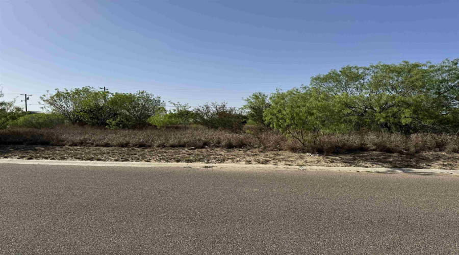 2605 Glenn St, Zapata, Texas 78075, ,Land,For Sale,2605 Glenn St,20262672