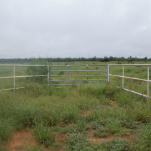 Lot 5 High Caliber Estates Dr., Laredo, Texas 78045, ,Land,For Sale,Lot 5 High Caliber Estates Dr.,20262684