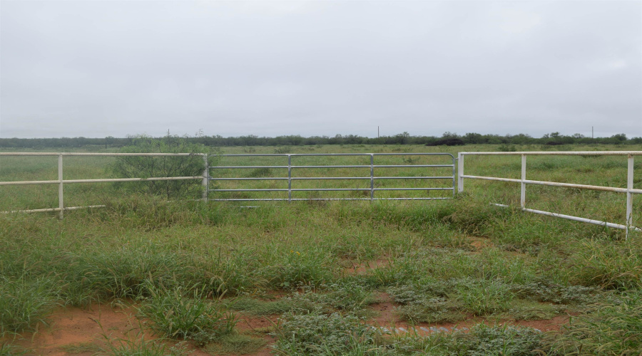 Lot 5 High Caliber Estates Dr., Laredo, Texas 78045, ,Land,For Sale,Lot 5 High Caliber Estates Dr.,20262684